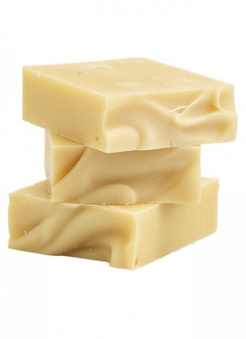 Christmas Joy Christmas Joy