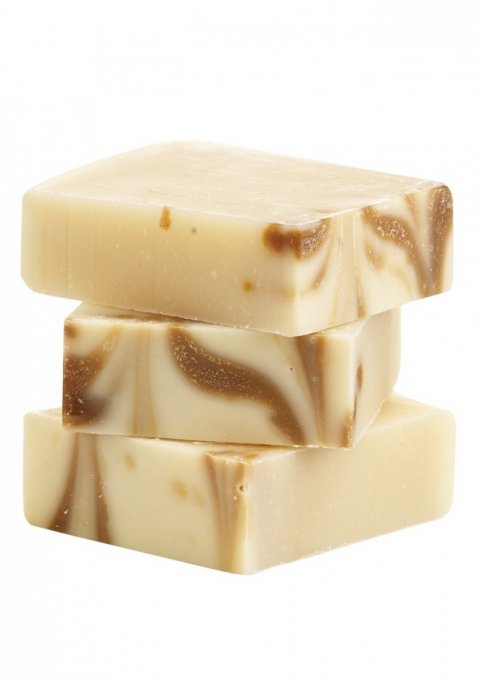 Forest dew Forest dew