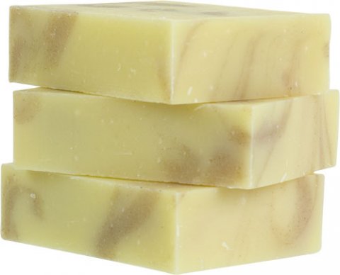 Seabucktorn Seabucktorn