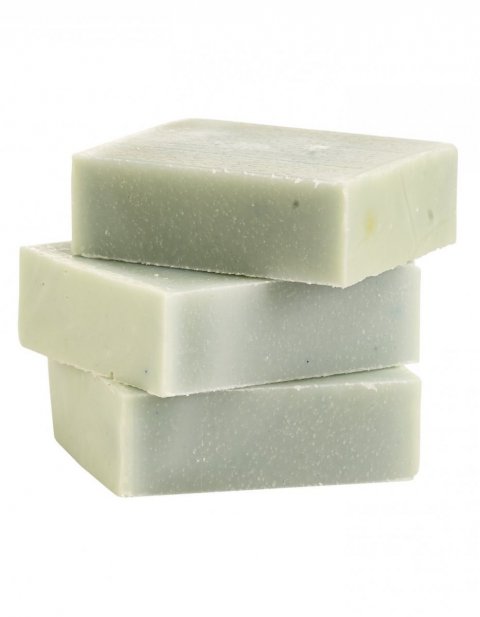 The Gardens Dream The Gardens Dream